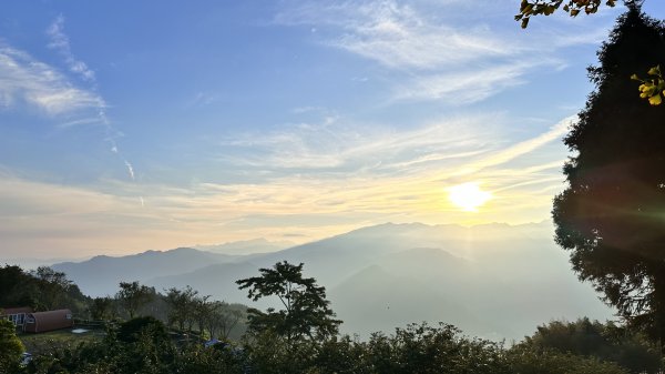 「鵝公髻山x山上人家」柳杉林中森呼吸~2264665