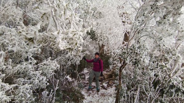 雪季北得拉曼2956476