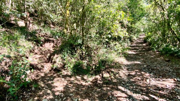 霧台-德文山2801896