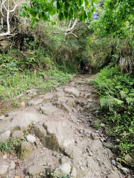 台南白河~台南第一高峰。 關仔嶺大凍山917820