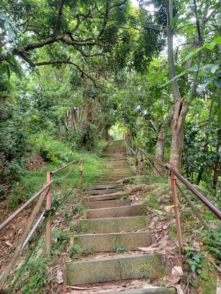 【台中北屯】南觀音山步道2933186