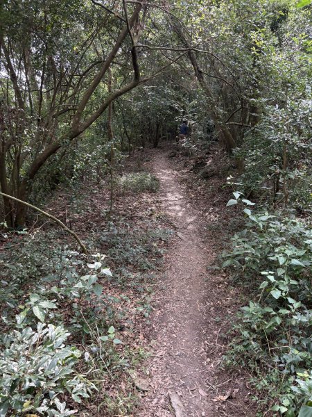 20251207笠頂山登山步道(第一登山口)2957665