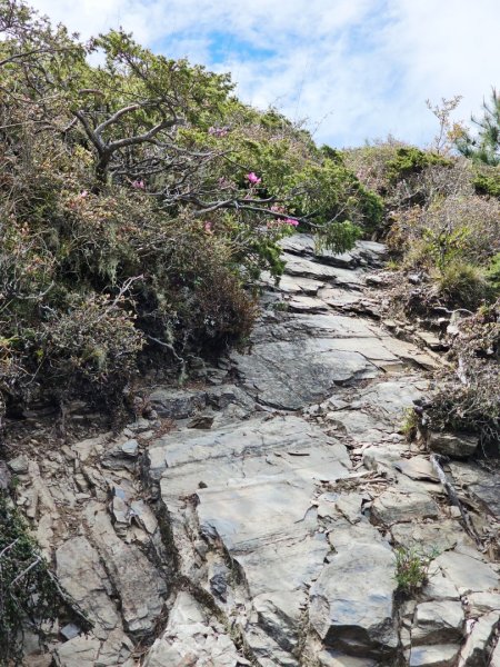 合歡北峰步道-(南投)臺灣百大必訪步道2795008