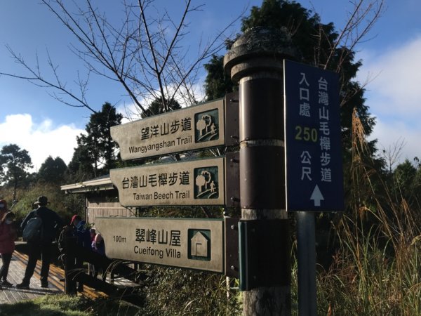 台灣山毛櫸步道。2021三訪之美不勝收1509406