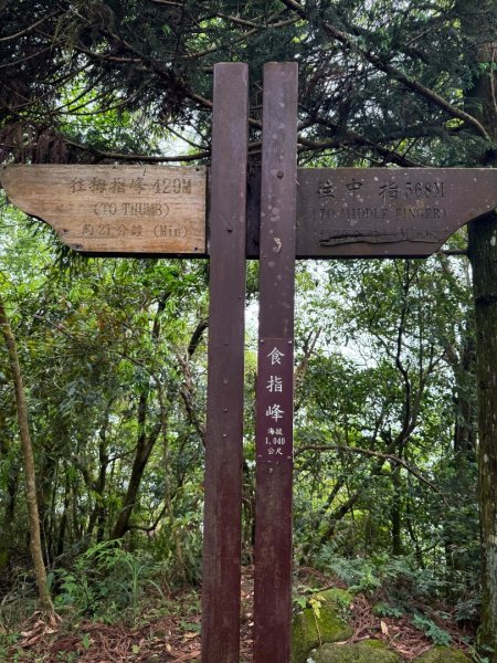 新竹五指山 - 指峰凌霄2768544