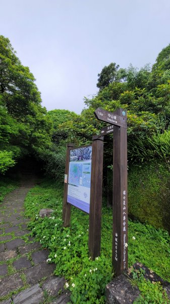 環七星山人車分道2147731