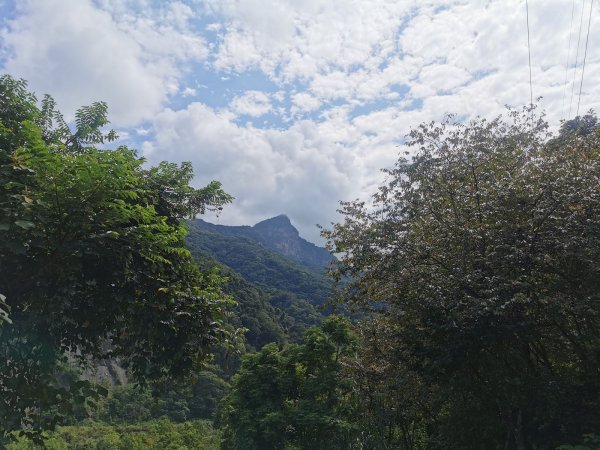 步道巡訪員 l 鳥嘴山步道 8月巡訪日誌1062368