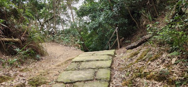 阿哲/小黑3031502