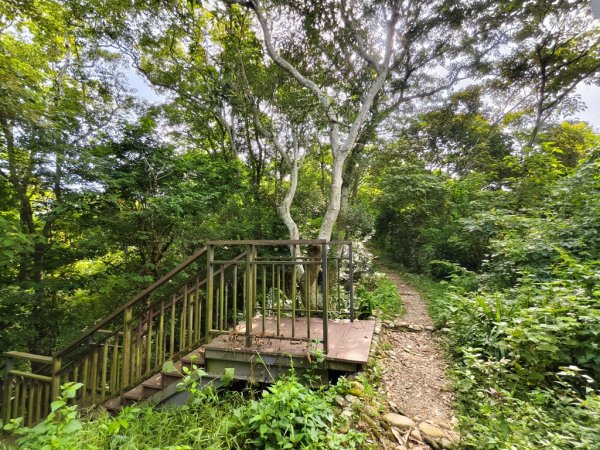 【員林】隴頂古道連走萬里長城及藤山步道O繞2871776