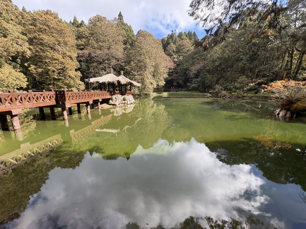 20251225塔山步道(大塔山)2970460