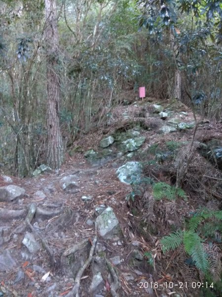 大霸群峰 107.10.19~21455415