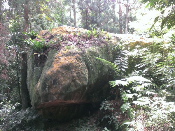 金龜岩、猴洞步道334514