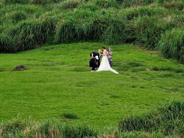 2026年臺北大縱走第三段：小油坑至風櫃口3037888