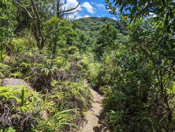 大溝溪生態治水園區。龍船岩。大崙頭山(小百岳)。圓覺瀑布1750694