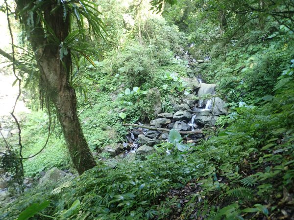 福山往返茶墾山，大台北郊山百岳之馬克完百623952