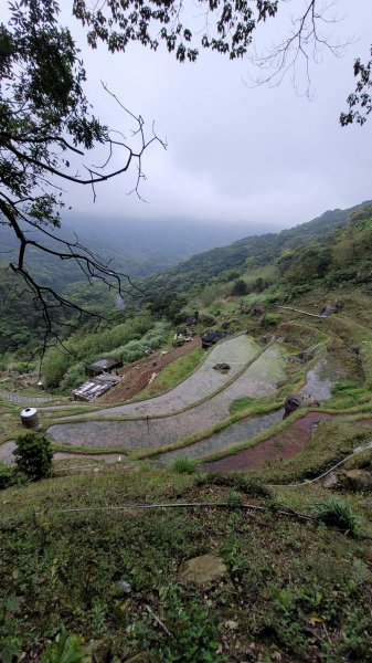 坪頂古圳步道2089593