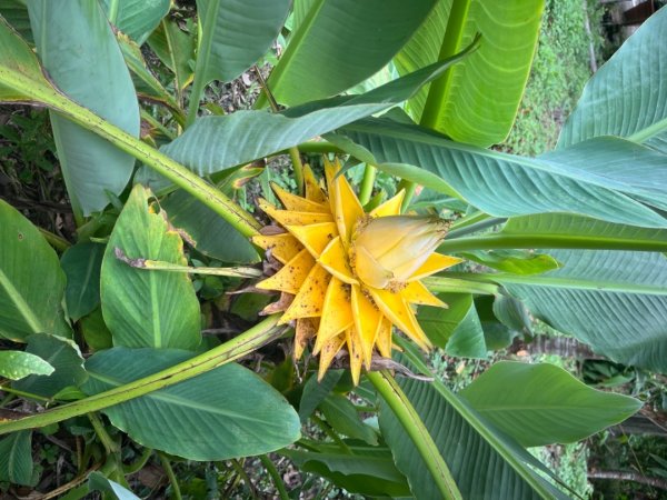 淡蘭古道北中南路全段共15段2568003