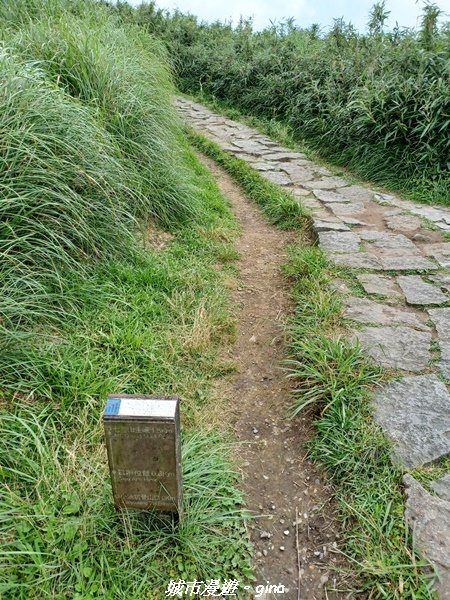 【台北北投】搭捷運公車爬山趣。 小百岳集起來。編號2小百岳~七星山步道1766574