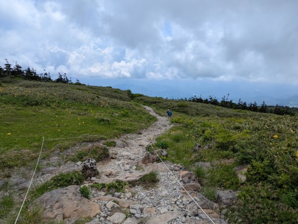 20260703 秋田森吉山3081925