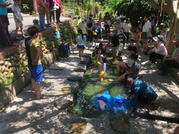 霄裡好風光好景色2825423