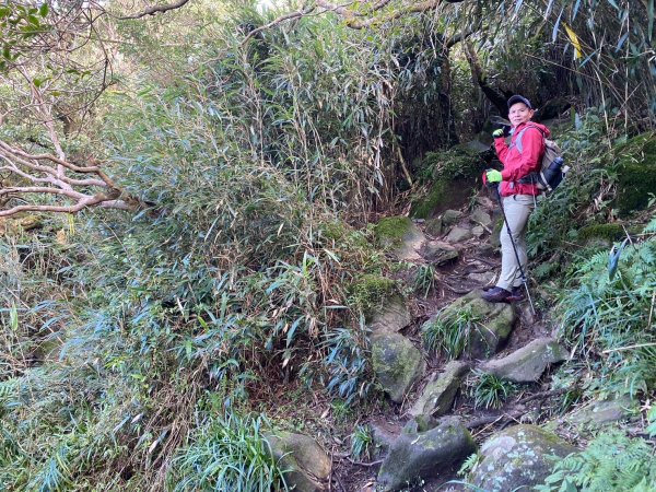 小觀音山群峰【當登山遇到惰性來襲時…】2686401