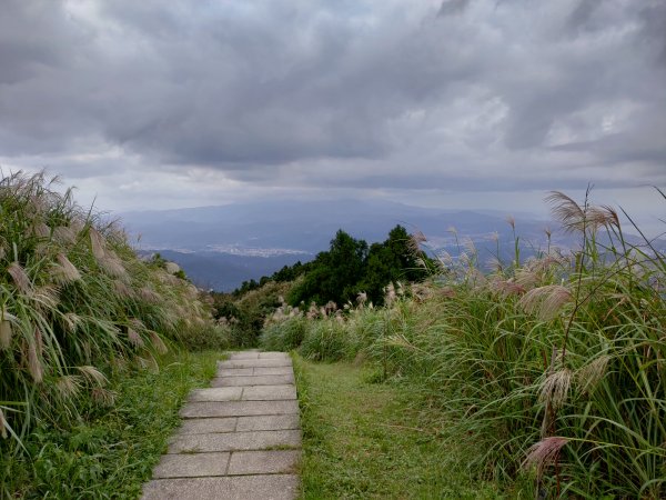 平溪五分山1142561