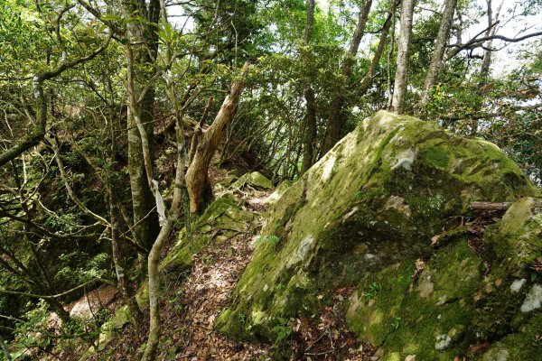 新竹 五峰 油羅山、霞山2798287
