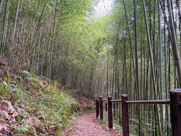 白蘭溪古道2846934