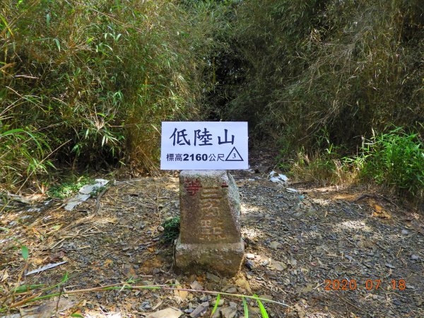 桃園 復興 把家灣山、低陸山