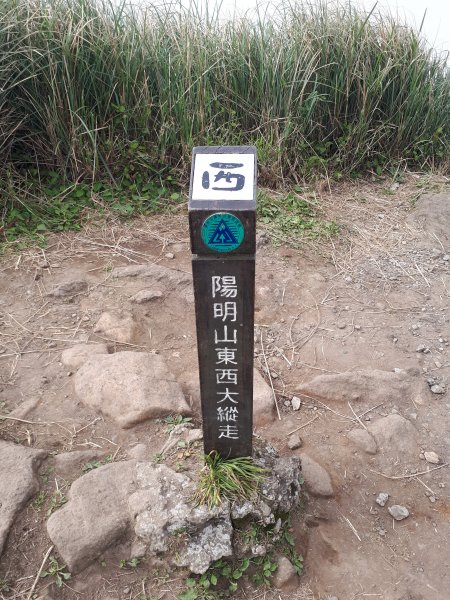 七星山(小百岳)1644407