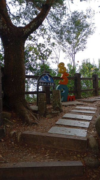 台中大坑一號步道上頭嵙山