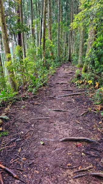 112.04.08 油羅山2123551