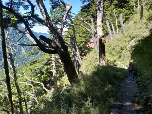 玉山主峰 北峰 西峰1035615