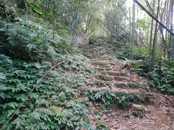 馬那邦山(小百岳編號037)720097