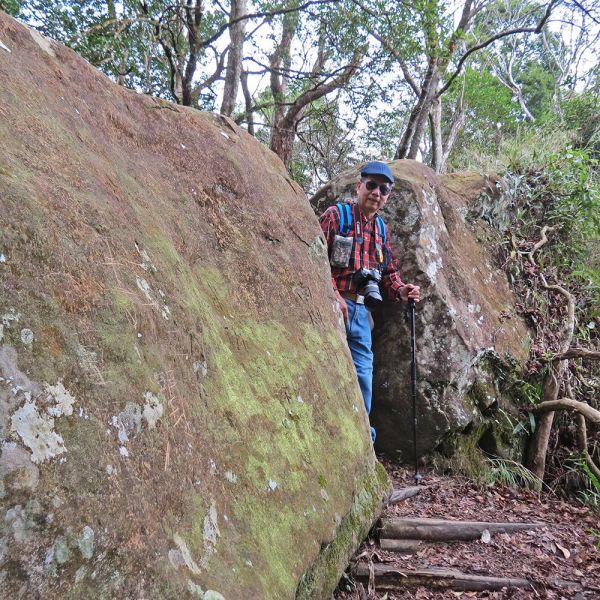 馬那邦山(珠湖線來回)375046