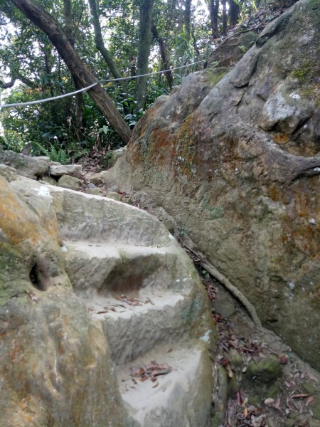 南勢角山縱走天上山1866379