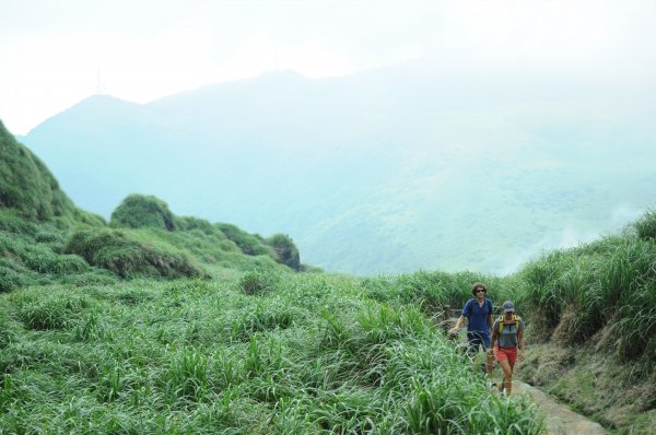 七星山主峰東峰592795