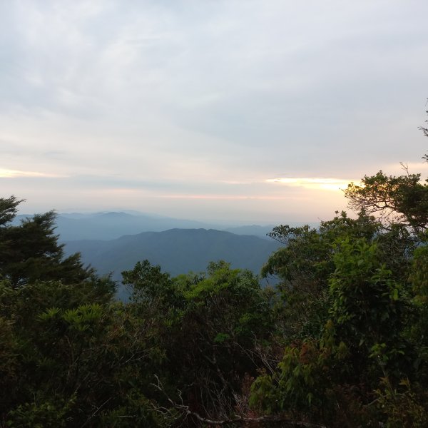 塔魔巴魔塔2698661