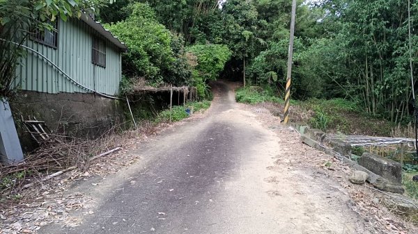 20250517 倒別牛-中坑山-飛鳳山 大O型2790389