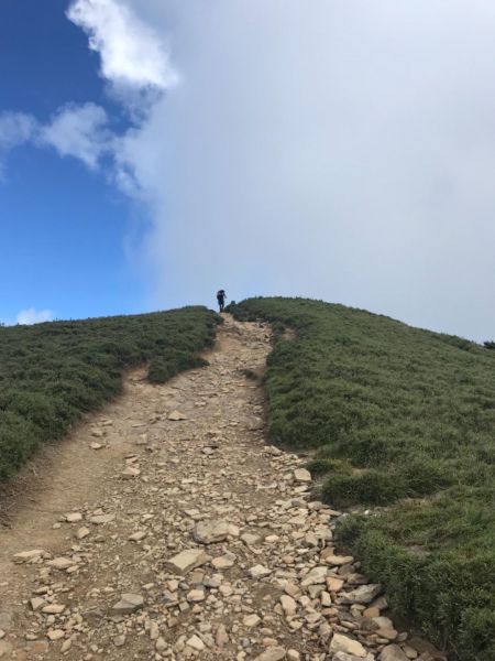 高山上的草原359343