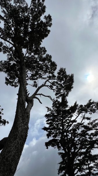 北二段之閂山鈴鳴山2607359