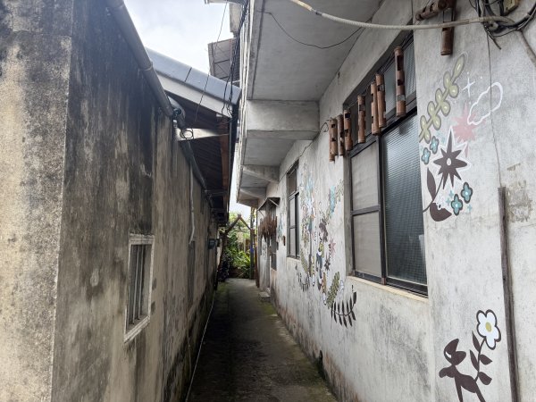 [樟之細路_第二大段RSA13] 2026_0328 渡南古道3025964