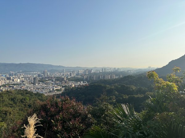 台北四獸山2610447