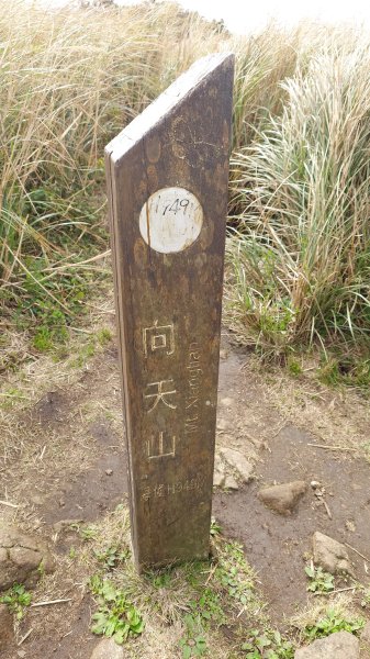 20260125 陽明山前後山健行(無極天元宮~山仔頂步道.向天池.向天山.面天山.二子坪)2998010