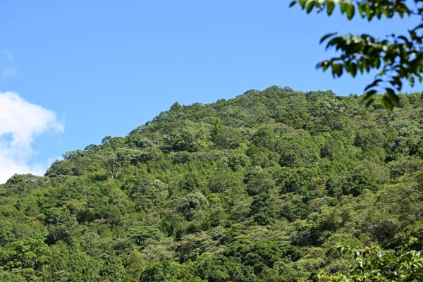 2025_0628 溪瀧步道2824960