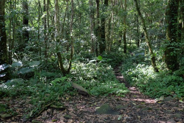 新竹尖石鄉 煤源社區上李棟山、大混山出凌空廊道2550493