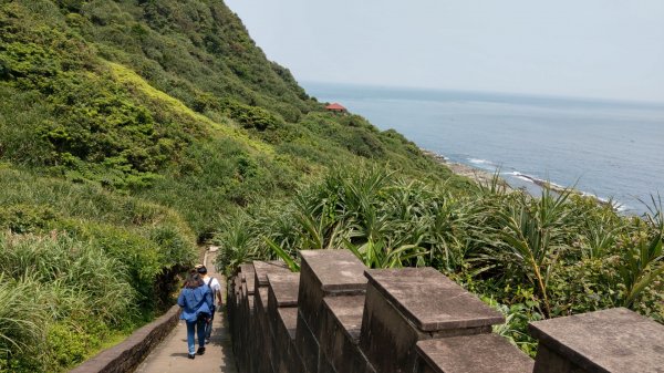 鼻頭角稜古步道921465