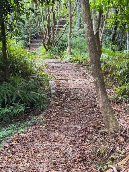 埔里能高瀑布-慶安步道-觀景台2801475