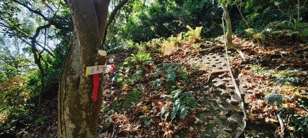 2025/09/13_貴子坑親山步道2884147
