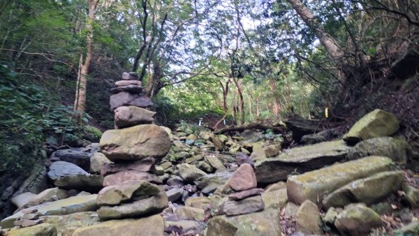 20250203_小百岳女仍山2706844